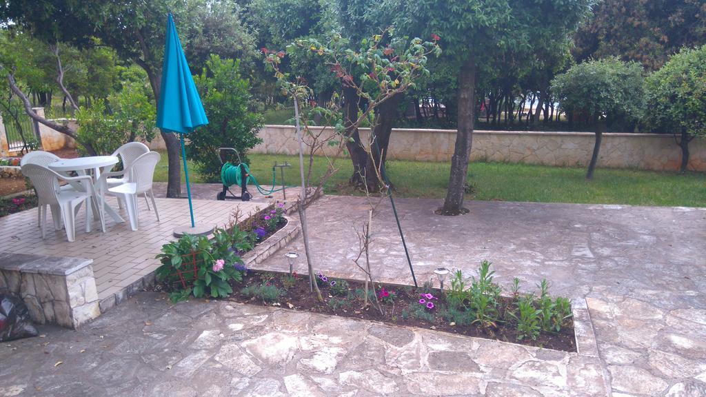Apartment Basic Petrcane Exterior photo