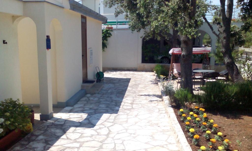 Apartment Basic Petrcane Exterior photo