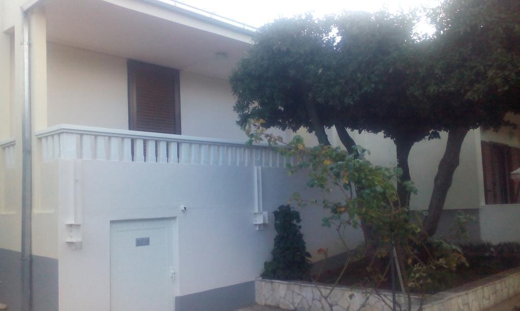Apartment Basic Petrcane Exterior photo
