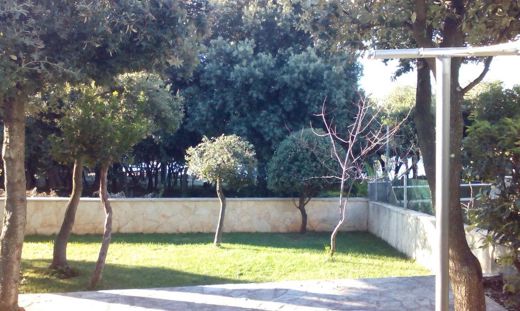 Apartment Basic Petrcane Exterior photo