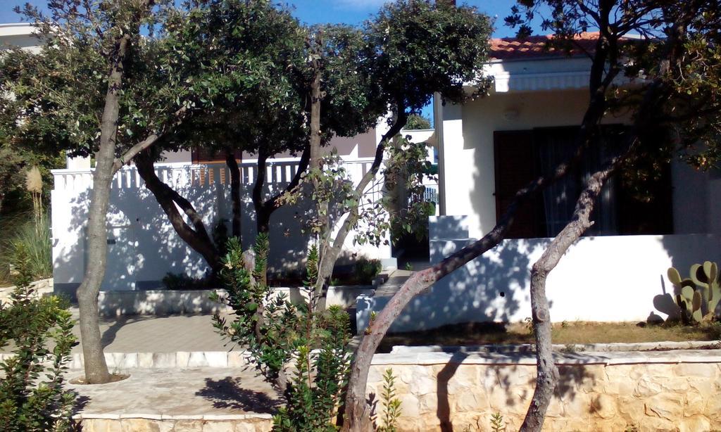 Apartment Basic Petrcane Exterior photo